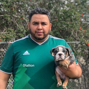 Meet your Posher, Alan